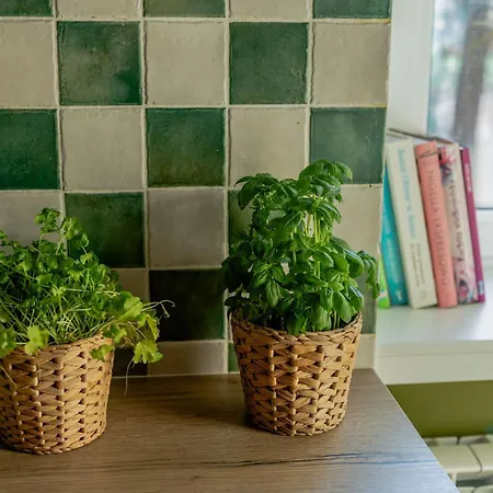 Atelier ホステル レシュノ